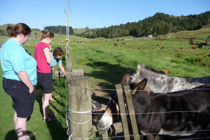 Nieuw-Zeeland 2011 - 0297